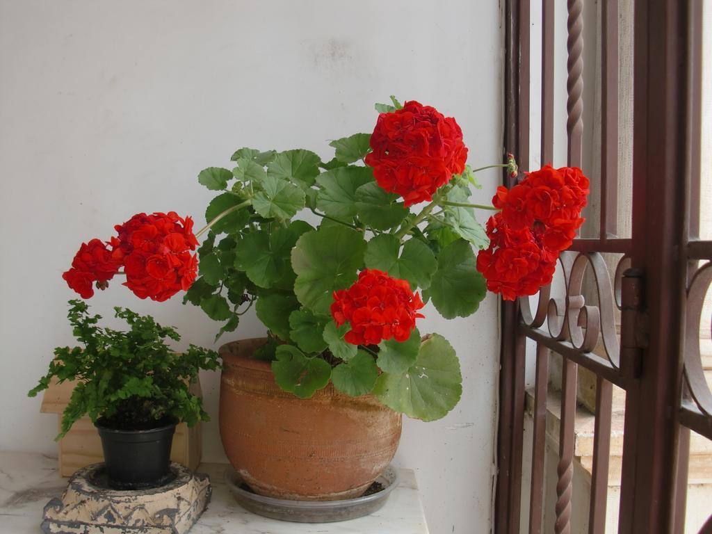 Adore Portugal Coimbra Guest House 외부 사진